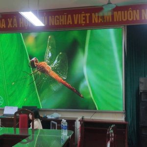 man-hinh-led-trong-nha-p1-875